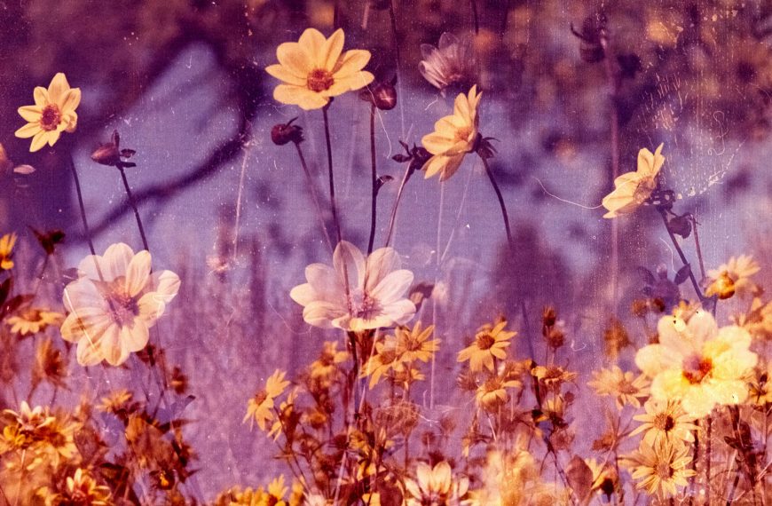 Tu brújula interna