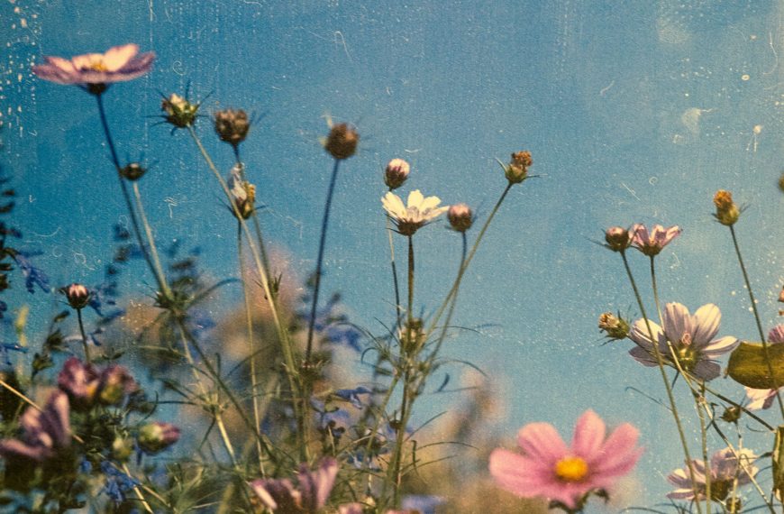 Cuando pinto entro en trance